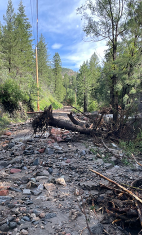 Debris from Monsoon Flooding 2023.