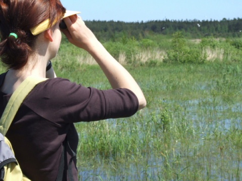 A teenager looks at wildlife with Binoculars