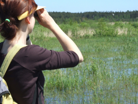 Ein Teenager betrachtet Wildtiere mit einem Fernglas