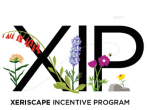 Xeriscape प्रोत्साहन कार्यक्रम के लिए लोगो