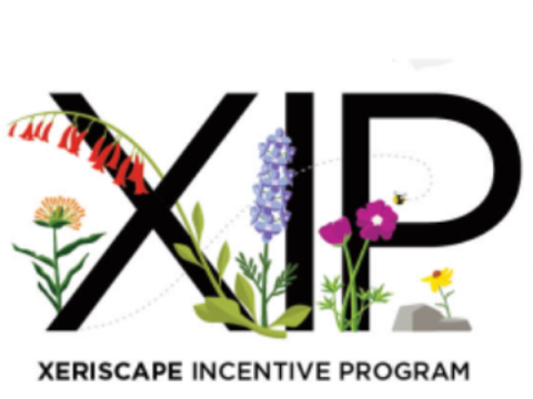 Логотип поощрительной программы Xeriscape