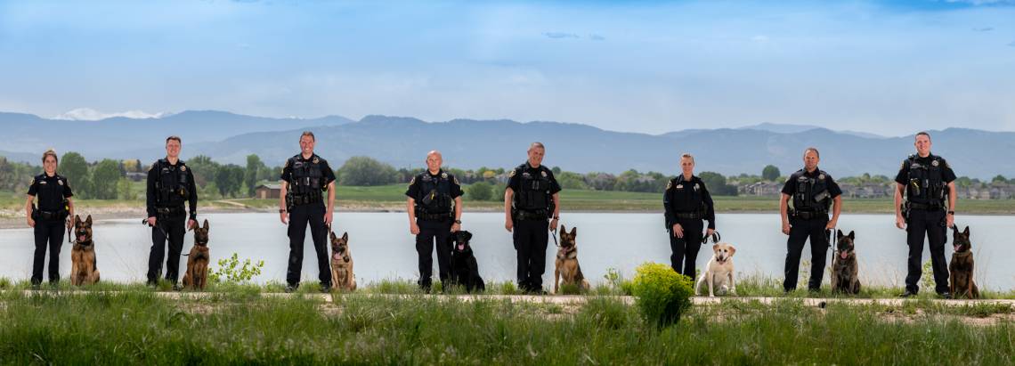 K9 Unit K9 Unit
