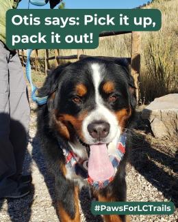 An image of a dog on the trail with the words "Otis says: Pick it up, pack it out!"