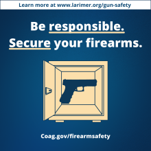 2 safe gun storage instagram