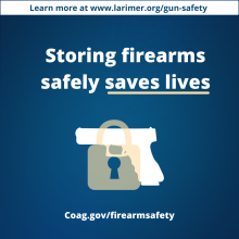 3 safe gun storage instagram