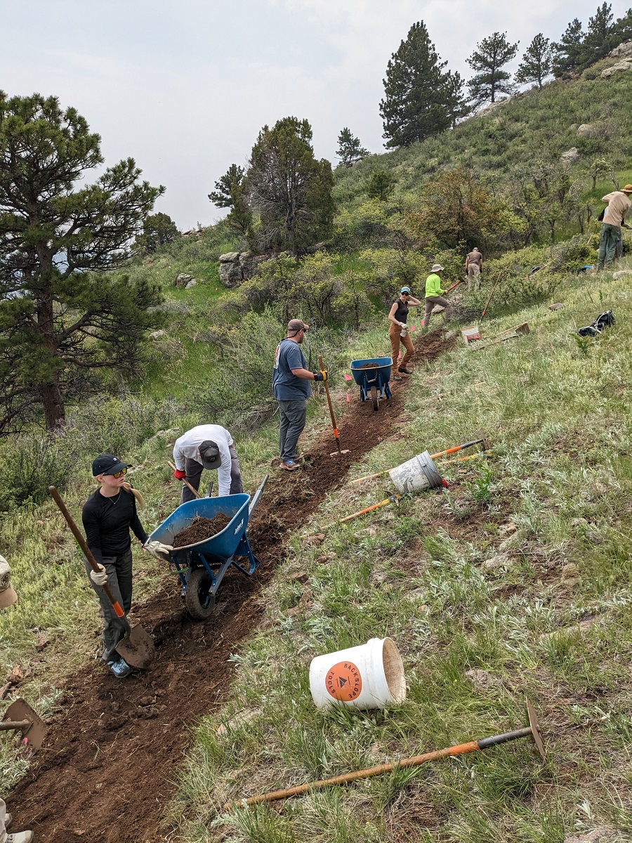 Image 4: Volunteers work together to build Stout Connector at Horsetooth Mountain Open Space.