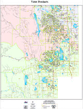 Voter Precient Maps